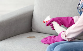 Seis maneras de quitar los pelos de tu mascota de sofás y tapicerías