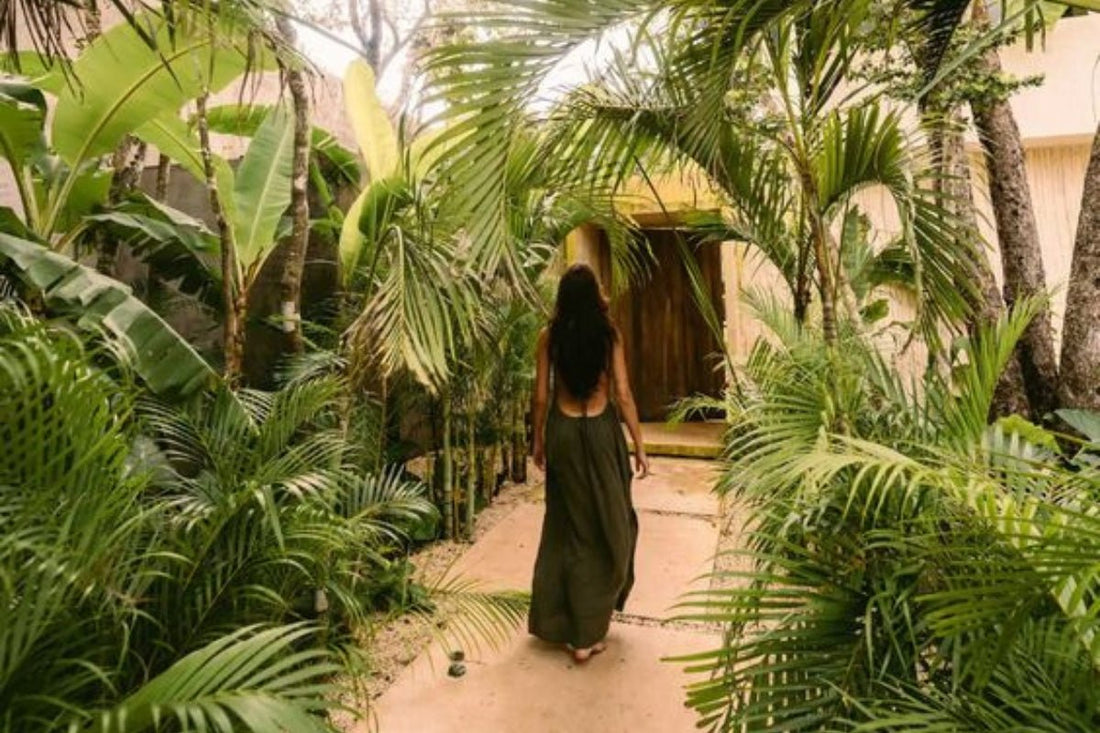 5 Tendências de Design Biofílico para 2025 - Budwing