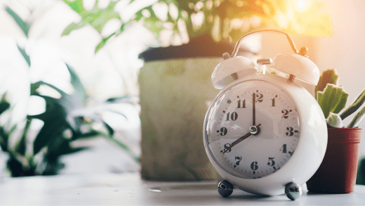 Cronotipo Intermediário: O Equilíbrio Perfeito Entre Manhã e Tarde - Budwing