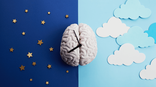 O Que São Cronotipos de Sono? Descobre o Teu Ritmo Biológico - Budwing