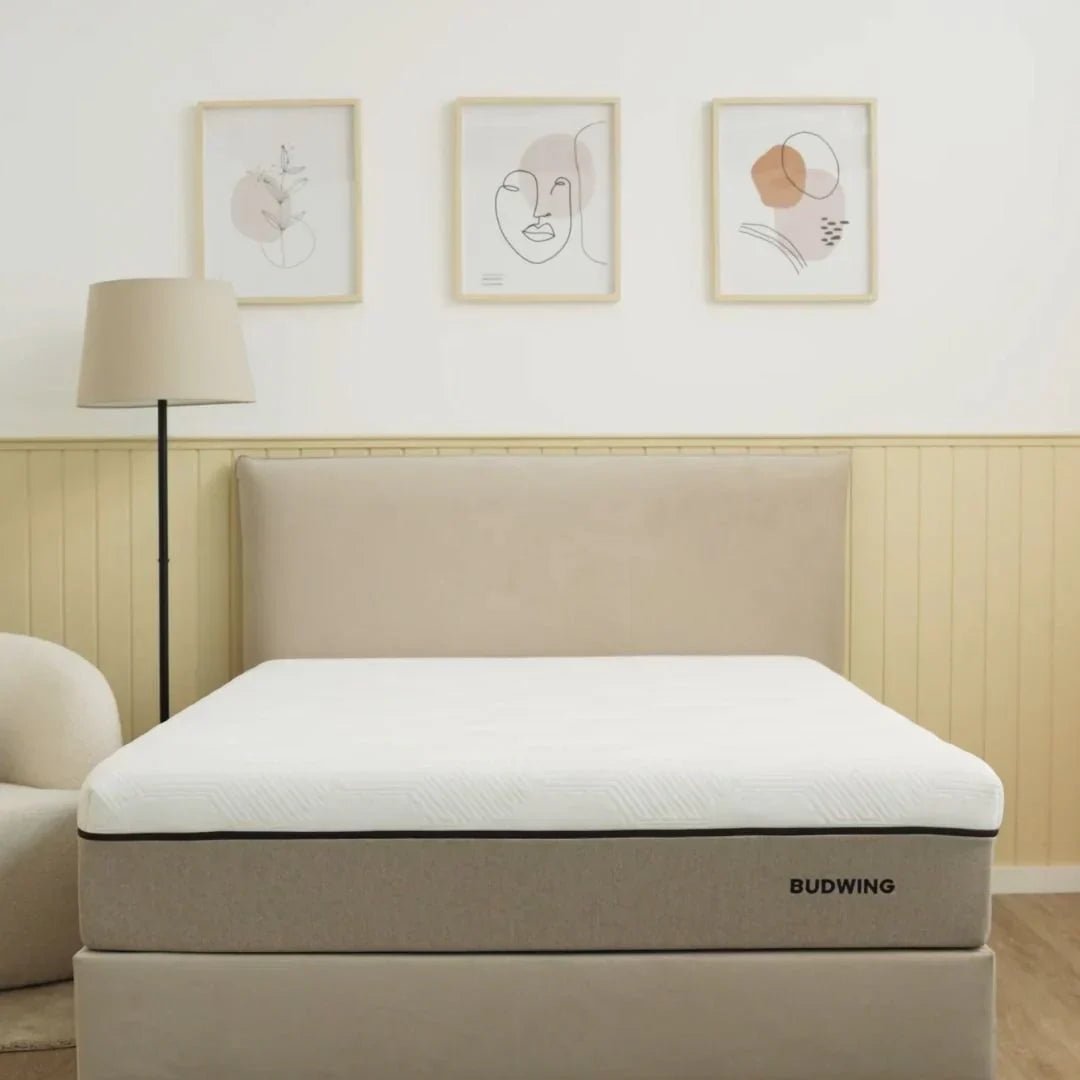 COLCHÕES - Budwing